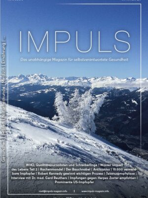 IMPULS Magazin Nr. 13 Q1/2019