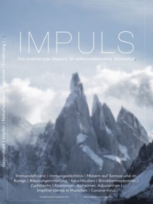 IMPULS Magazin Nr. 17 Q1/2020